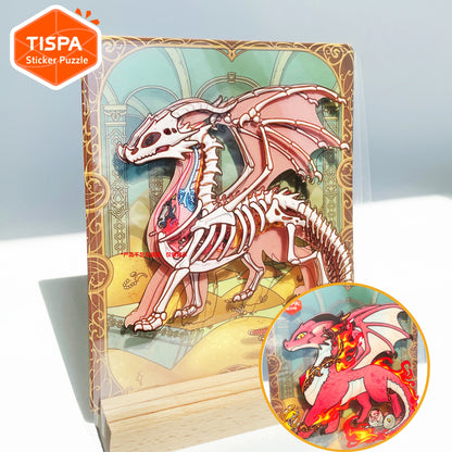 Anatomical Restoration - Red Dragon