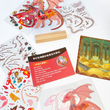 Anatomical Restoration - Red Dragon