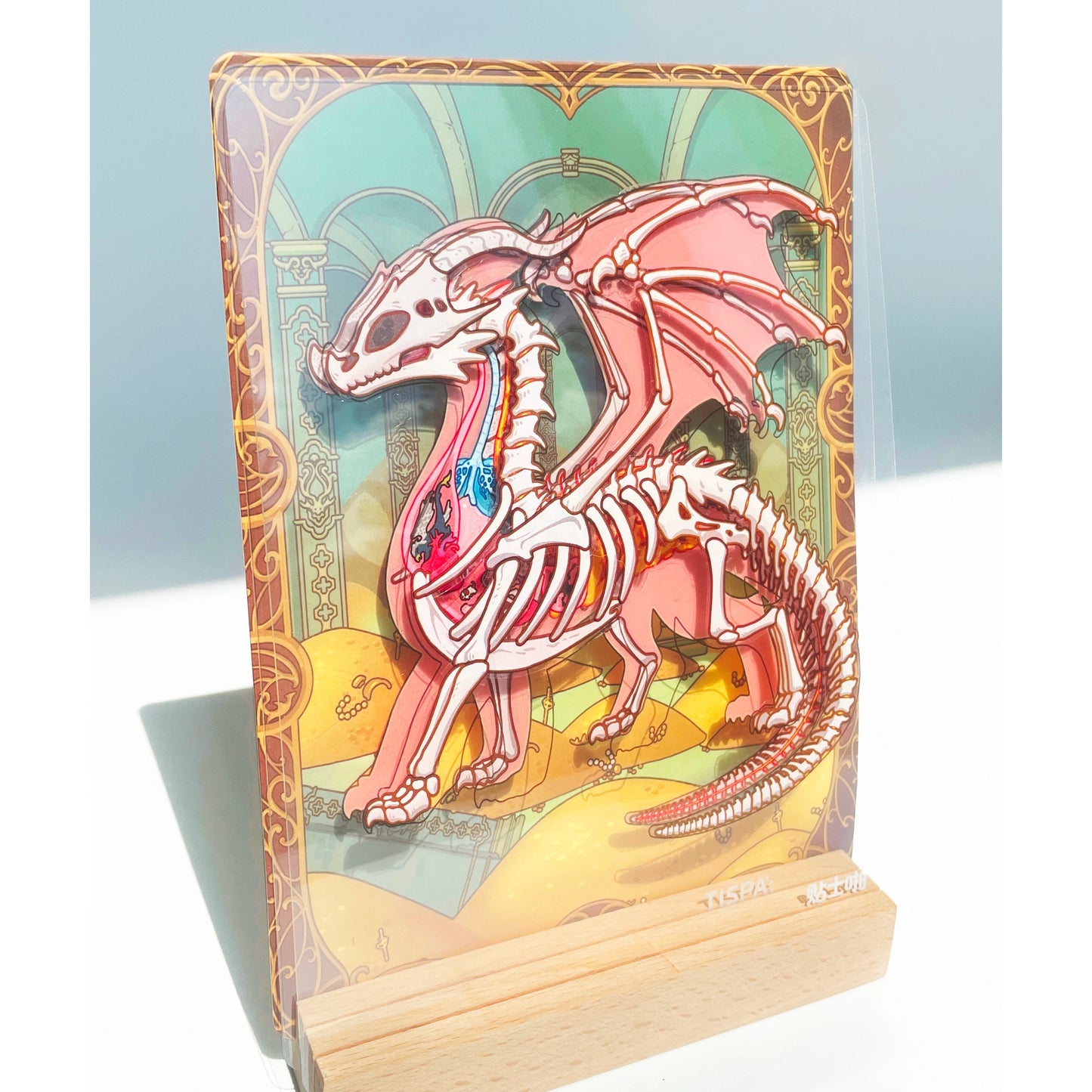 Anatomical Restoration - Red Dragon