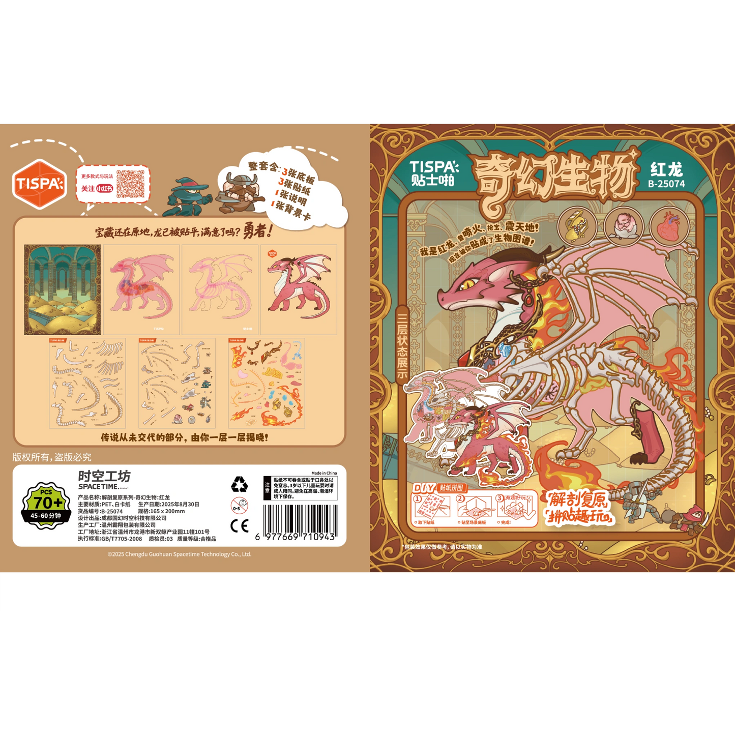 Anatomical Restoration - Red Dragon