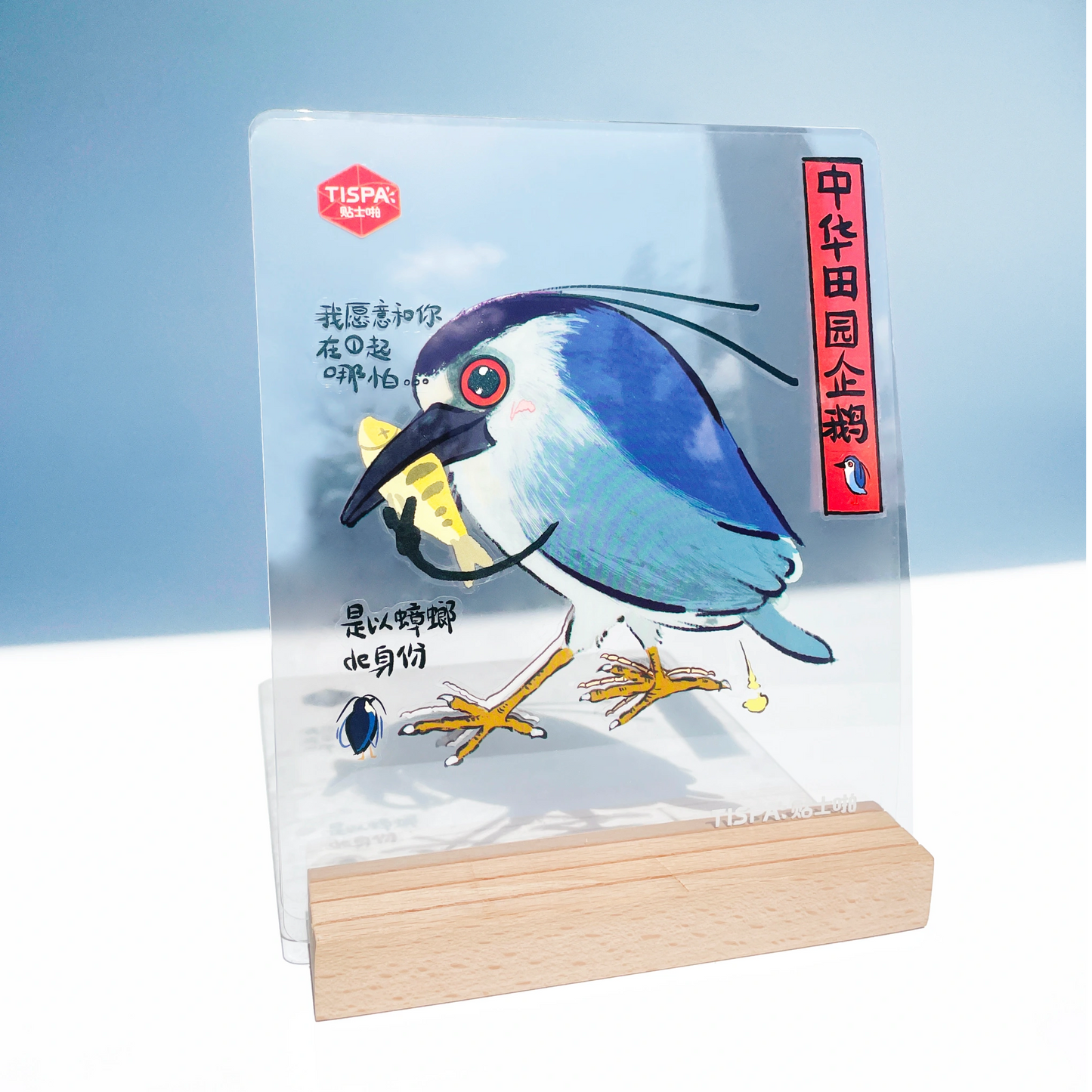 Anatomical Restoration - Nycticorax