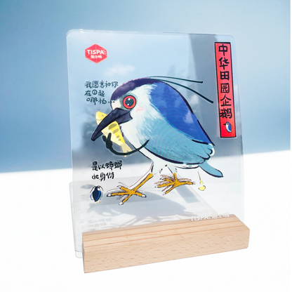 Anatomical Restoration - Nycticorax