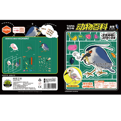 Anatomical Restoration - Nycticorax