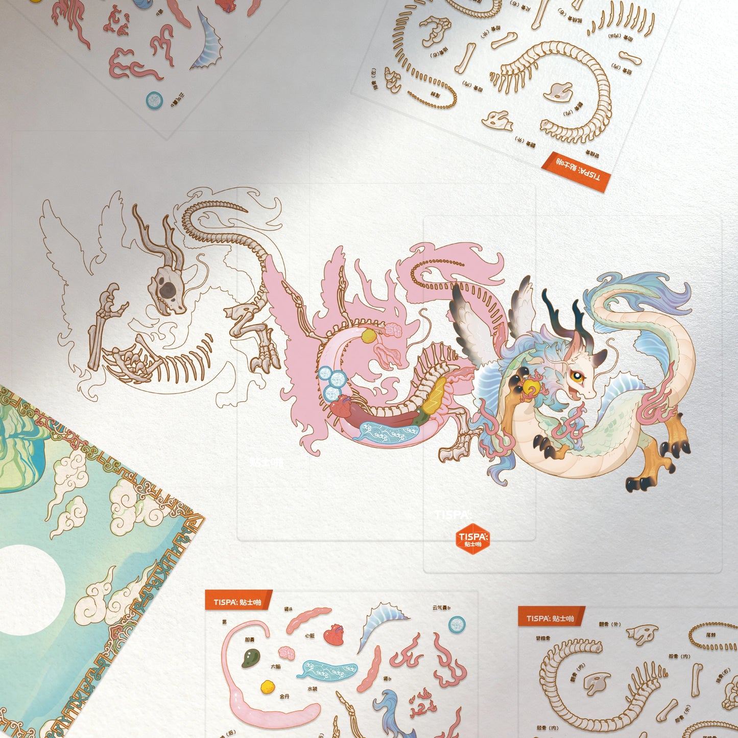 Anatomical Restoration - Yinglong