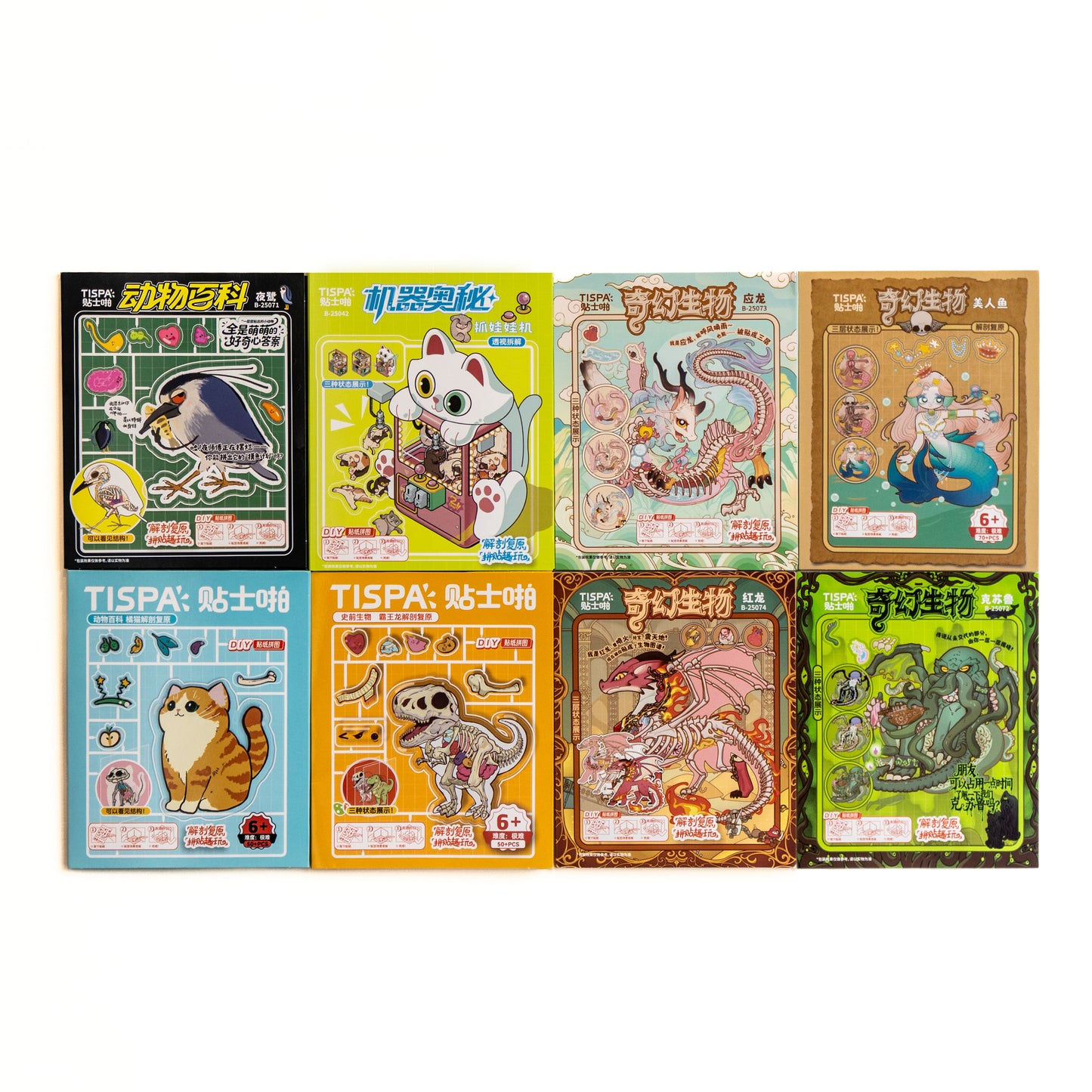 Anatomical Restoration Series