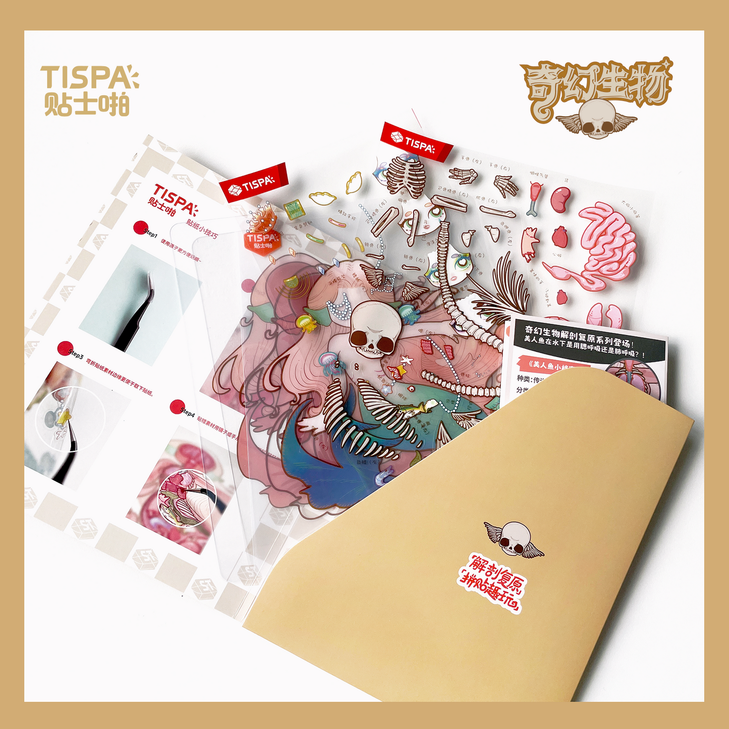 Anatomical Restoration - Mermaid