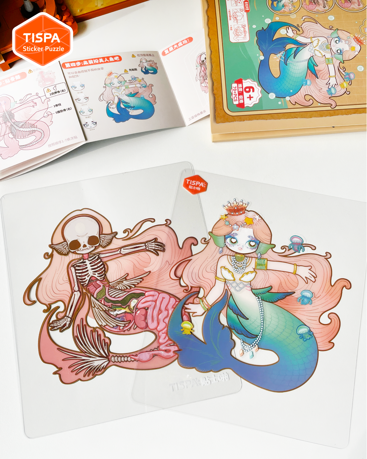 Anatomical Restoration - Mermaid