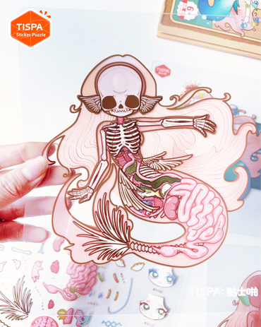 Anatomical Restoration - Mermaid