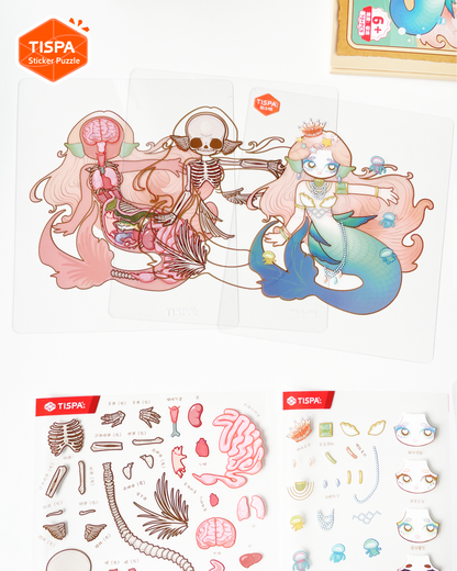 Anatomical Restoration - Mermaid