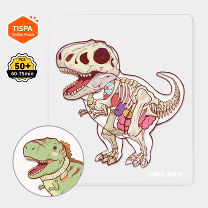 Anatomical Restoration Series