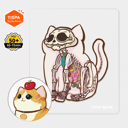 Anatomical Restoration Series