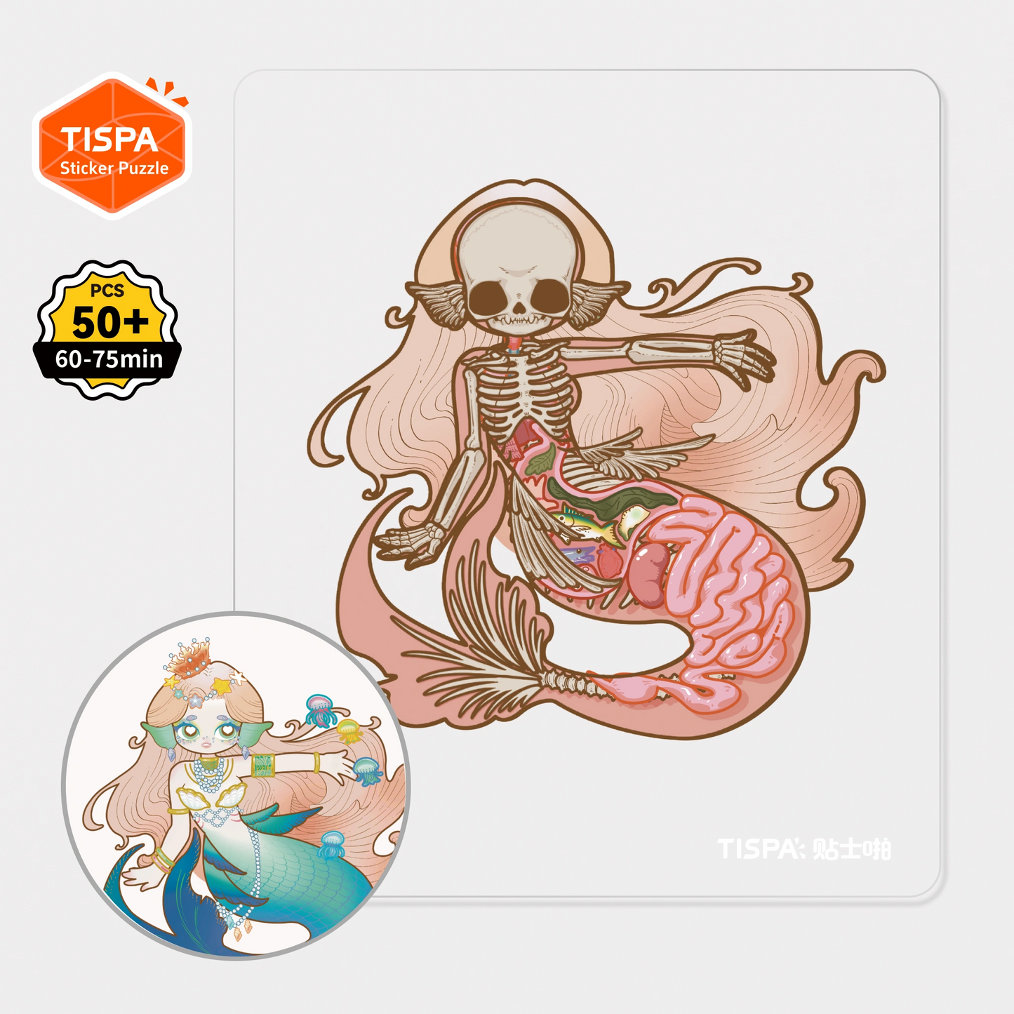 Anatomical Restoration Series