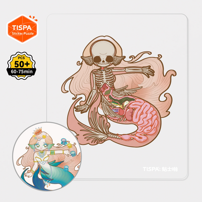 Anatomical Restoration Series