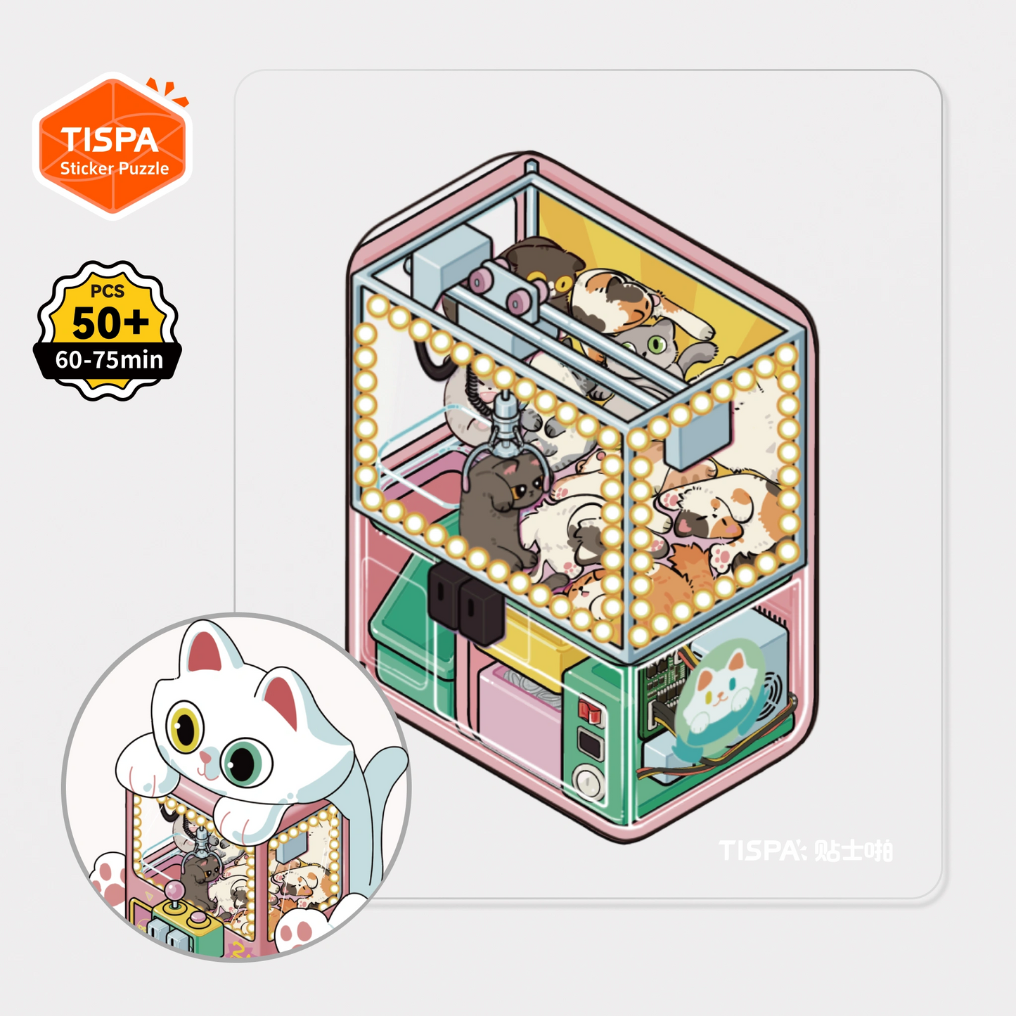 Anatomical Restoration Series