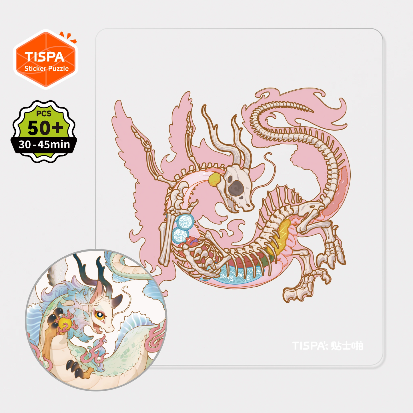 Anatomical Restoration Series