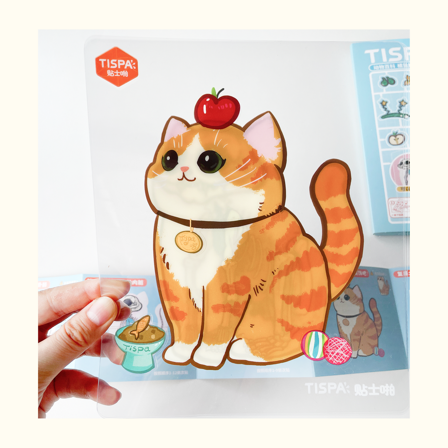 Anatomical Restoration - Cat