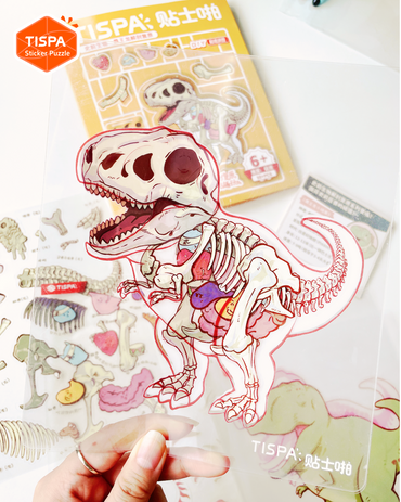 Anatomy Model